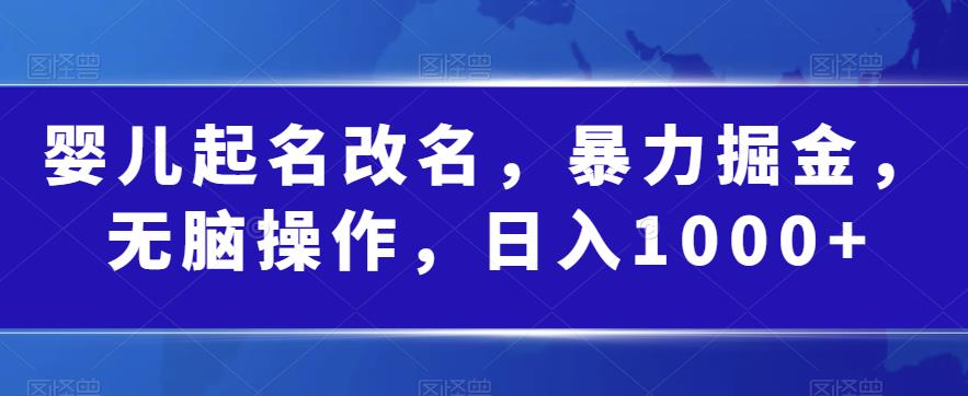 嬰兒起名改名，暴力掘金0門檻操作日入1000百度網盤