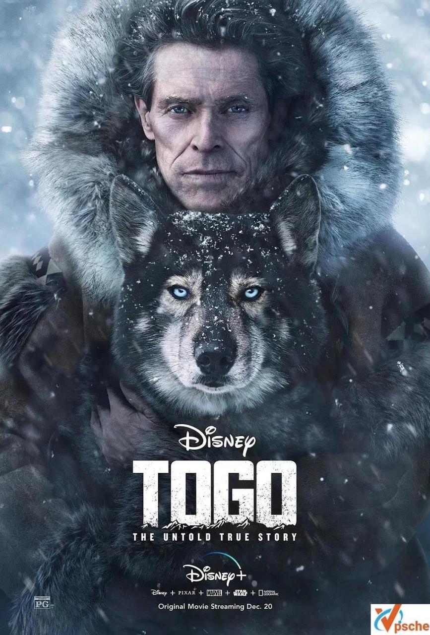 [亞洲電影]電影《多哥》(Togo (2019))高清英語(yǔ)中字[MP4/3.28GB]百度云網(wǎng)盤在線分享