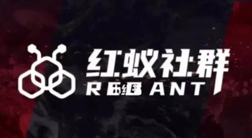 社群運(yùn)營：紅蟻社群【48節(jié)落地系統(tǒng)課+2000人社群】百度網(wǎng)盤