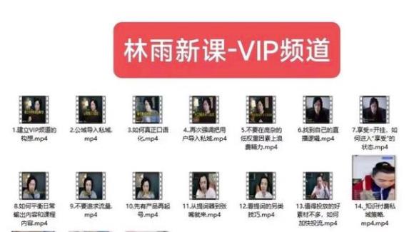 林雨新課VIP頻道玩賺私域/朋友圈/社群百度網盤