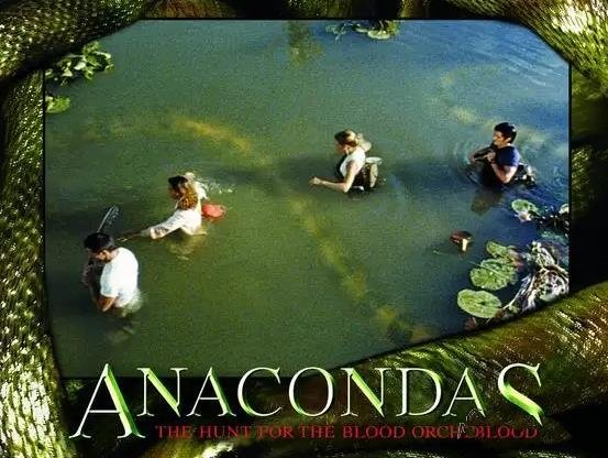 [歐美電影][1997-2009]《狂蟒之災》系列四部合集[高清英語中字][百度云網盤+阿里云網盤分享][MKV/MP4/14.03GB]