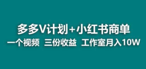 【藍海項目】多多v計劃小紅書商單副業賺錢教程百度網盤插圖