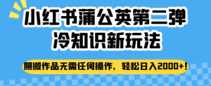 小紅書(shū)蒲公英冷知識(shí)新玩法，照搬作品賺錢副業(yè)百度網(wǎng)盤插圖