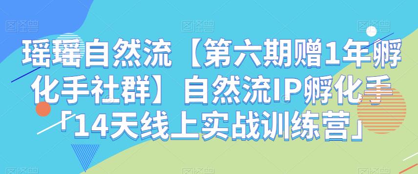 瑤瑤自然流第六期自然流IP孵化手「14天線上實戰訓練營」百度網盤