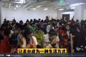 走心家族百度網盤