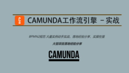 Camunda高級實戰培訓系列教程百度網盤