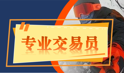 【外匯期貨】成為一名專業交易員講師陳金百度網盤