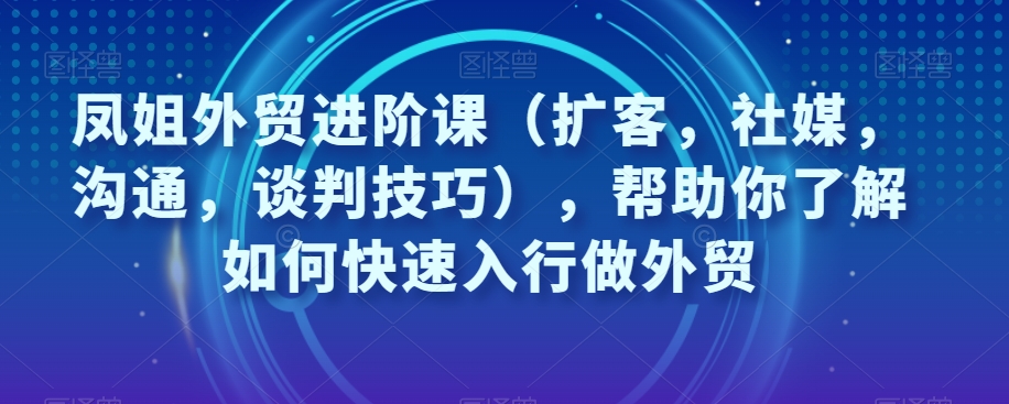 鳳姐外貿進階課（擴客，社媒，溝通，談判技巧）快速入行外貿百度網盤
