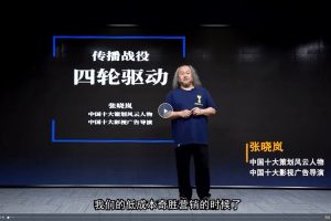 張曉嵐-低成本營銷，打一場漂亮的營銷傳播戰百度網盤