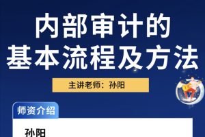 中華會計網校孫陽：內部審計方法及流程百度網盤