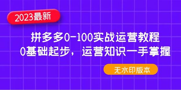 【電商上新】049.2023拼多多0-100實戰運營教程