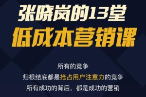 張曉嵐-13堂低成本營銷課（視頻課）百度網盤