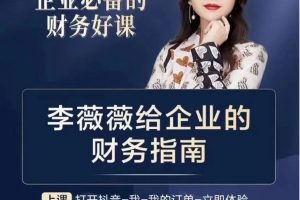 李薇薇給企業(yè)的財(cái)務(wù)指南-老板財(cái)務(wù)總監(jiān)必看百度網(wǎng)盤