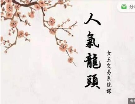 低吸女王人氣龍頭周期系統(tǒng)百度網(wǎng)盤