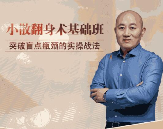 【溪流竹海】《王宗峰-小散翻身術基礎班 8視頻》百度網盤