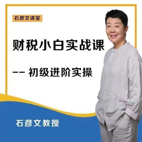 財稅小白實戰課 財務會計實操【石彥文講財稅】_石彥文講財稅百度網盤