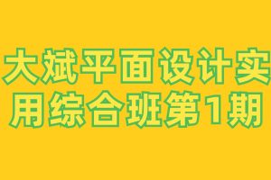 大斌平面設計實用綜合班第1期百度網盤
