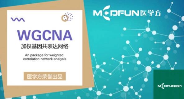 豪斯醫生數據挖掘之WGCNA詳解百度網盤