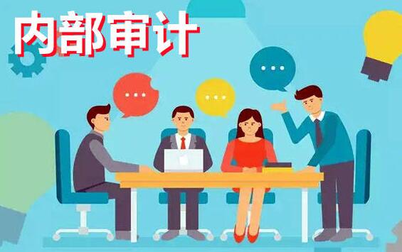 《企業內部審計講解》視頻百度網盤