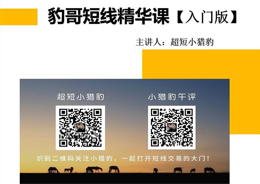 超短小獵豹-豹哥短線精華課入門版百度網盤