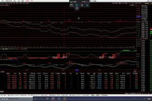 無名諸葛-第2期高階課程百度網盤