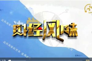 【邊風煒】2023年財經風味-邊學邊賺視頻教程百度網盤