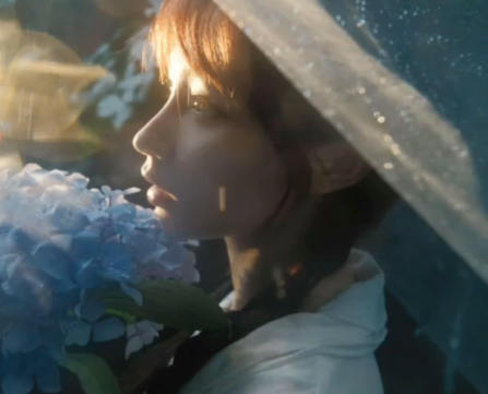 千萬攝影師創(chuàng)作秘籍2023年百度網(wǎng)盤