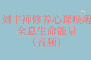劉豐禪修養心課喚醒全息生命能量（音頻）百度網盤