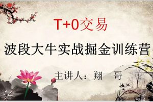 翔哥T+0波段大牛實(shí)戰(zhàn)掘金訓(xùn)練營(yíng)