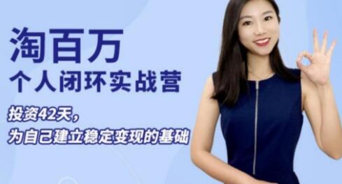 淘百萬《個人閉環實戰營》個人ip打造穩定變現