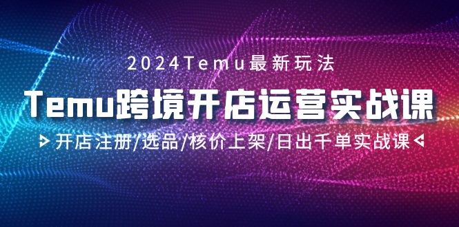 2024最新Temu跨境開店運營實操課，開店注冊選品核價上架