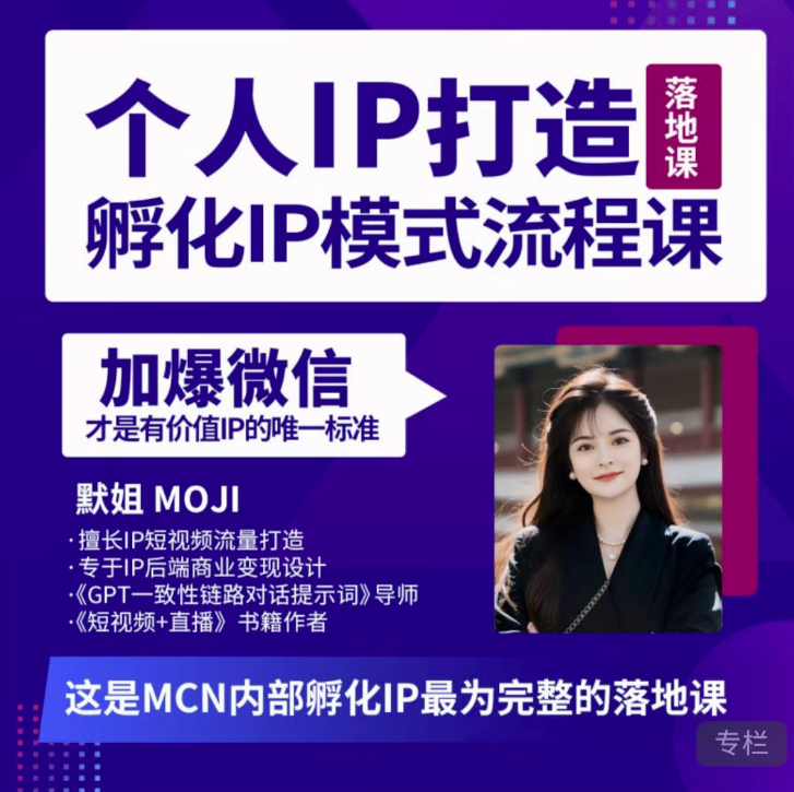 默姐·老板商業(yè)IP孵化流程課，完整個人IP短視頻