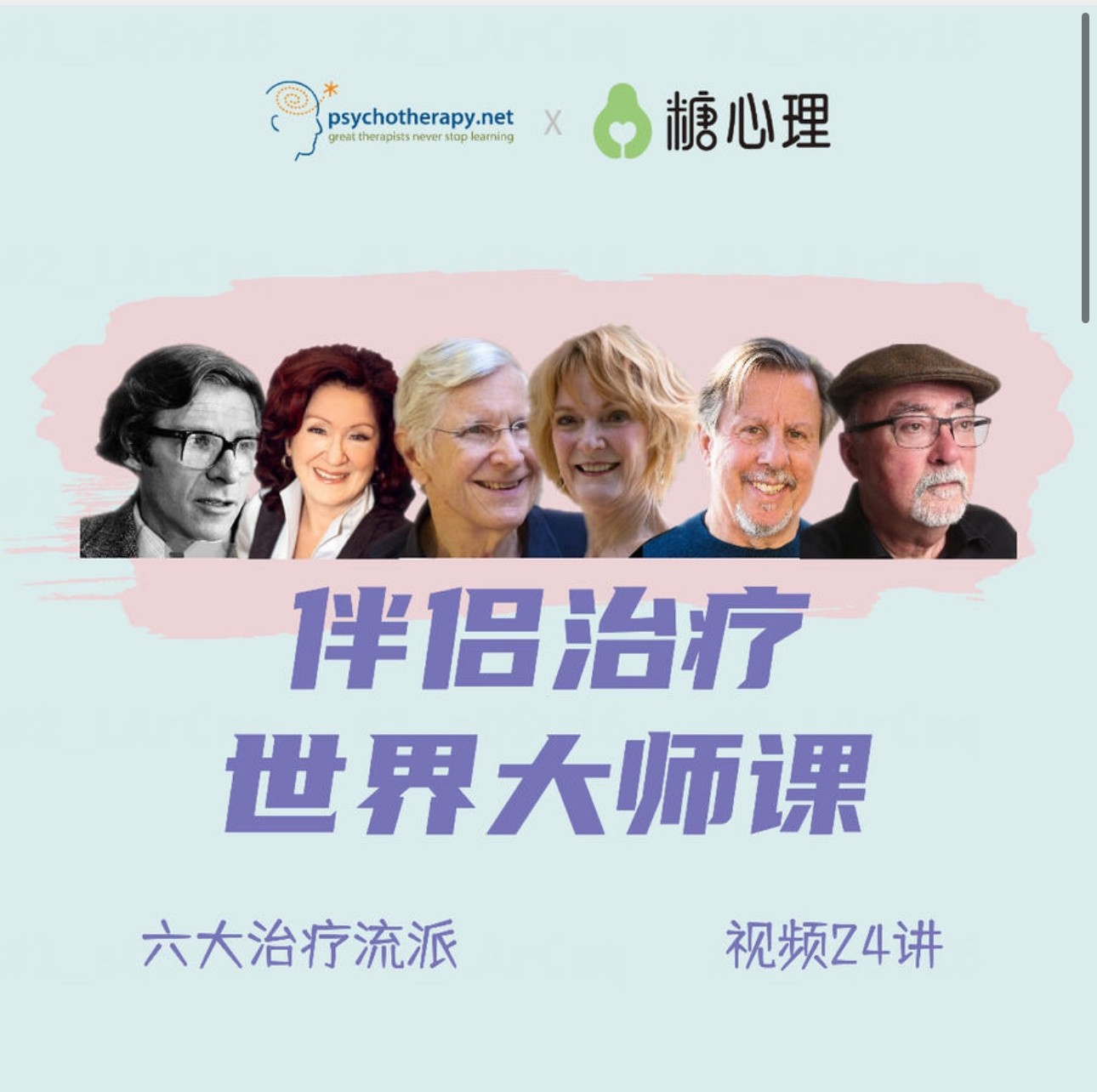 伴侶治療世界大師課，重建親密關(guān)系的六個思路，六大流派視頻24講