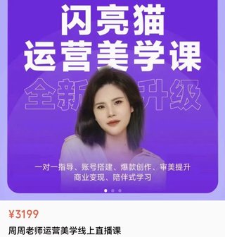 【抖音上新】閃亮貓·自媒體運營美學課6.0 11節完整，全新升級，手把手帶你提升品牌審美，做一個有調性的博主，讓我們用視覺撬動流量