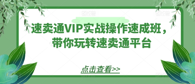 【速賣通】速賣通VIP實戰操作速成班，帶你玩轉速賣通平臺
