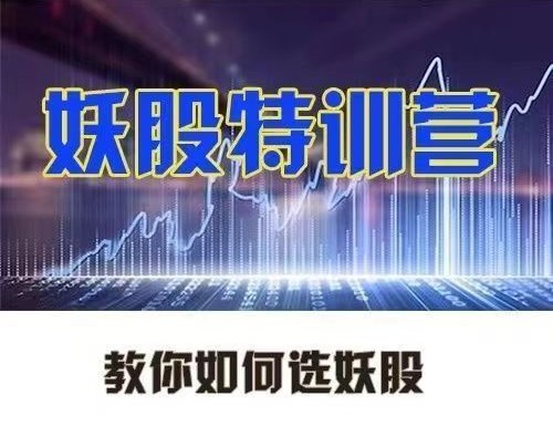 李棟妖股特訓(xùn)營(yíng)，教你如何選妖股