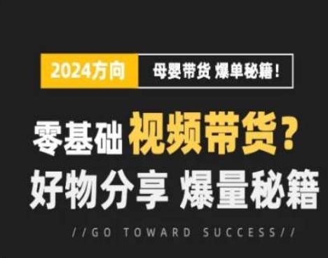 短視頻母嬰賽道實操流量訓練營，零基礎視頻帶貨，好物分享，爆量秘籍插圖