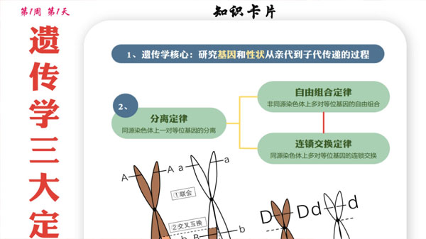 2024屆高考高三各科夢想點當(dāng)鋪課件合集插圖