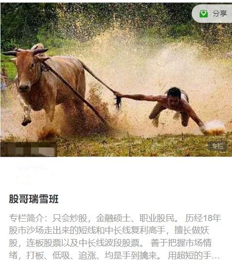 只會炒股2023年11-12月 股哥瑞雪班視頻課程