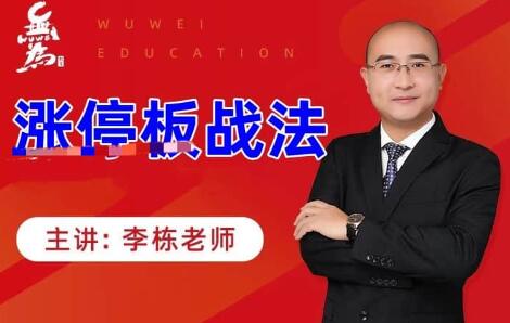 無為李棟《漲停板戰法》視頻