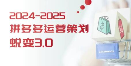 大力《拼多多運營策略蛻變3.0》0-1完美蛻變