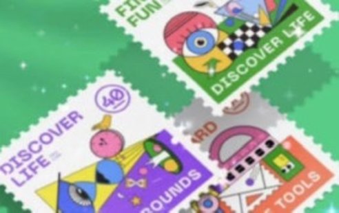 【設計上新】204. 同捉平面圖形構成訓練營第9期2023年【畫質高清只有視頻】