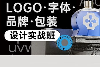 盧帥logo字體品牌包裝設計實戰班第5期