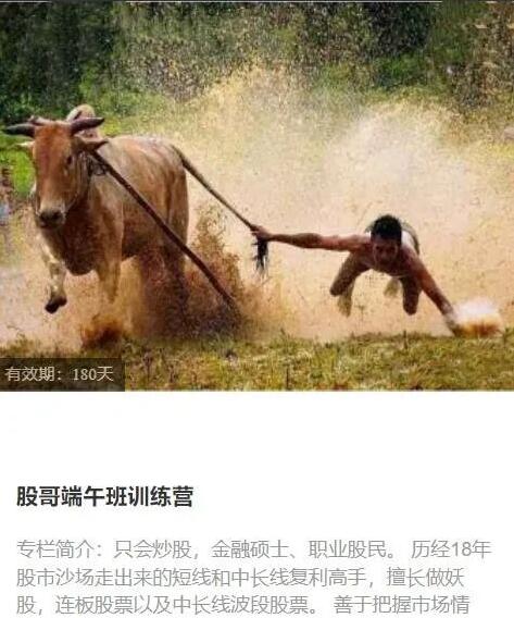 【只會炒股】《股哥2023年6-8月 端午班訓練營視頻課程 共16視頻》