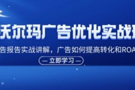 【網賺上新】090.沃爾瑪廣告優化實戰班，廣告報告實戰講解，廣告如何提高轉化和ROAS等