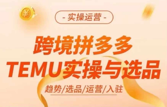 跨境拼多多TEMU實操與選品，多多temu跨境選品運營實操插圖