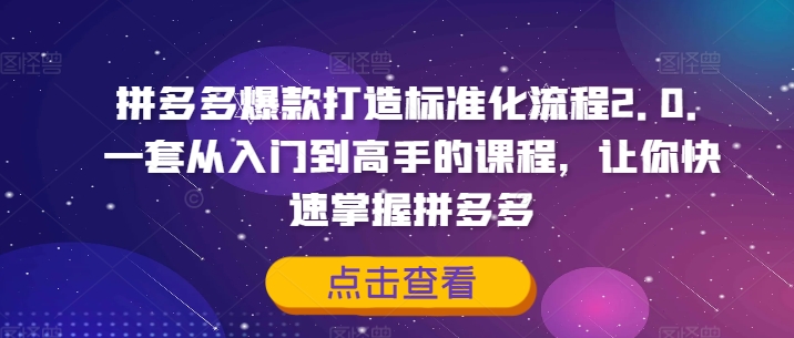拼多多爆款打造標準化流程2.0，一套從入門到高手的課程，讓你快速掌握拼多多