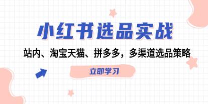 《小紅書選品實戰》站內、淘寶天貓、拼多多，多渠道選品策略插圖