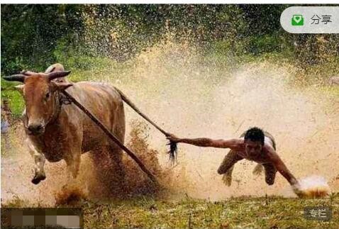 只會炒股2024年5-7月 股哥向陽升漲夏季班視頻課程