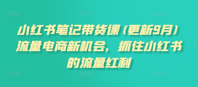 小紅書筆記帶貨課(更新25年1月)流量電商新機(jī)會(huì)